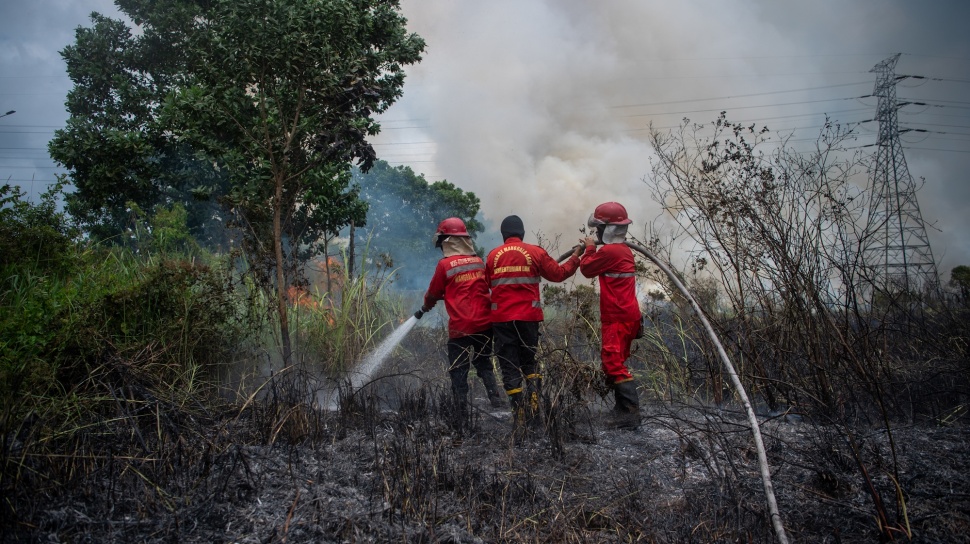 Kebakaran Hutan Dunia Meningkat Tajam: Dampak Ekonomi dan Risiko Kemanusiaan Meluas