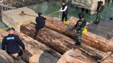 Kemenhut dan Kejagung Usut Tuntas Pembalakan Liar di Hutan Sipora