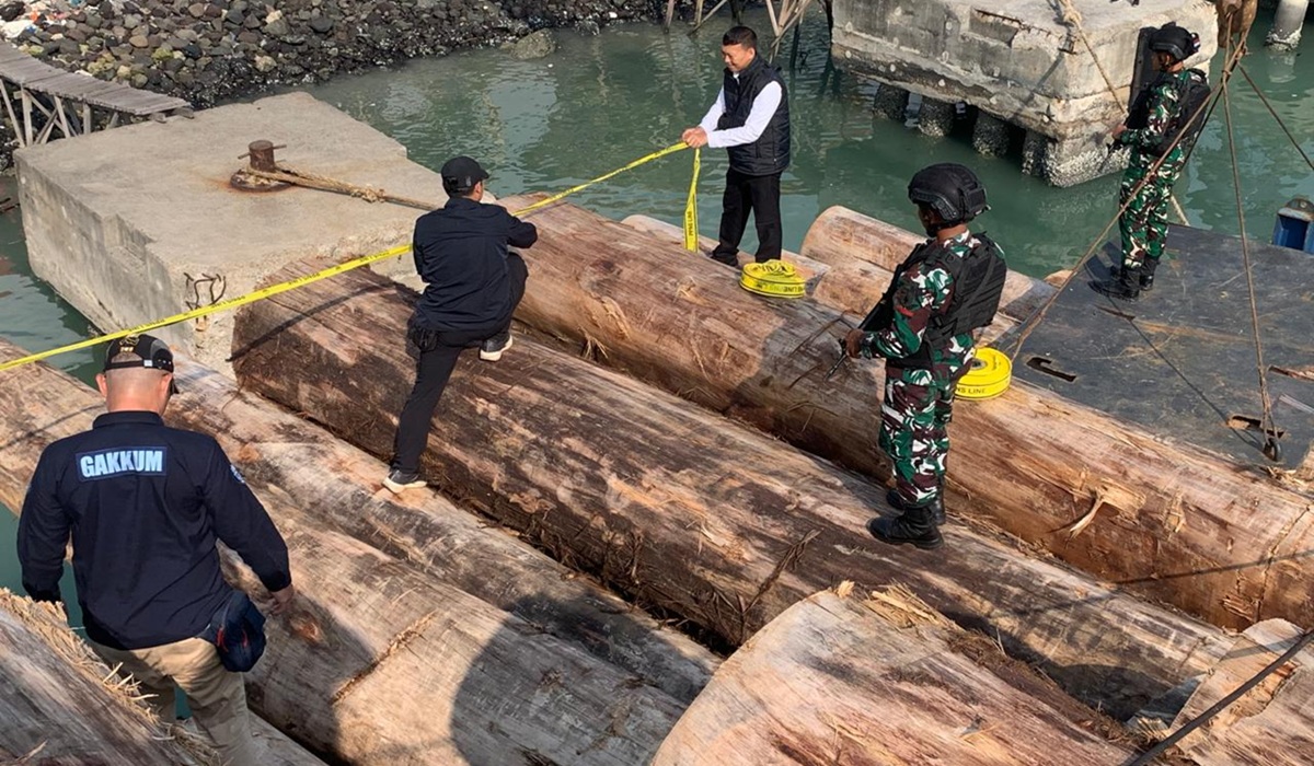 Kemenhut dan Kejagung Usut Tuntas Pembalakan Liar di Hutan Sipora