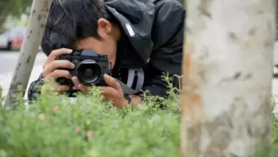 Kemenkomdigi Sentil Fotografer Jual Foto ke Aplikasi AI Tanpa Izin