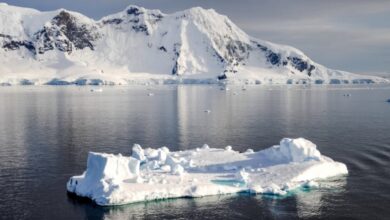 Luas Es Laut Antartika Catat Titik Terendah Ketiga dalam 47 Tahun