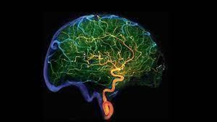 Makin Parah: Mikroplastik Ternyata Sudah Menyusup ke Jaringan Otak Manusia