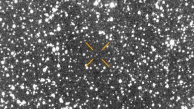 Menelusuri Komet: Apa Itu Komet? Inti, Koma, dan Ekornya Dijelaskan