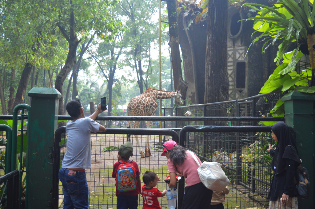 Night at Ragunanzoo Resmi Buka Hari Ini, Rasakan Keseruannya dengan Harga Tiket Ini!