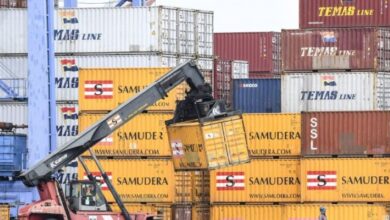 Nikmati Perdagangan Bebas, Ekonomi RI Diprediksi Melejit Tahun Ini