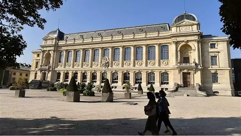 Pelaku Pencurian Emas di Museum Paris Ternyata Perempuan Warga China