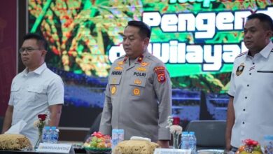 Pemerintah Bentuk Satgas Pengendalian Harga Beras untuk Stabilitas Pangan