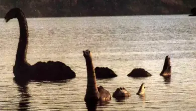 Penampakan Monster Loch Ness Terekam, Sebesar Tiga Orang Dewasa!