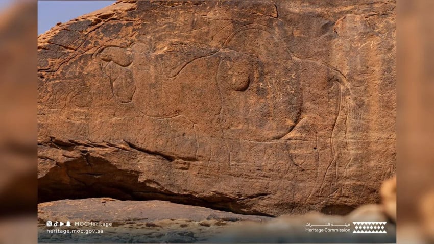 Penemuan Ukiran Purba 12.000 Tahun di Al-Nafud, Arab Saudi