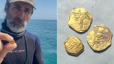 Penyelam Temukan Harta Karun 1.000 Koin Spanyol Kuno bernilai Rp 16 M