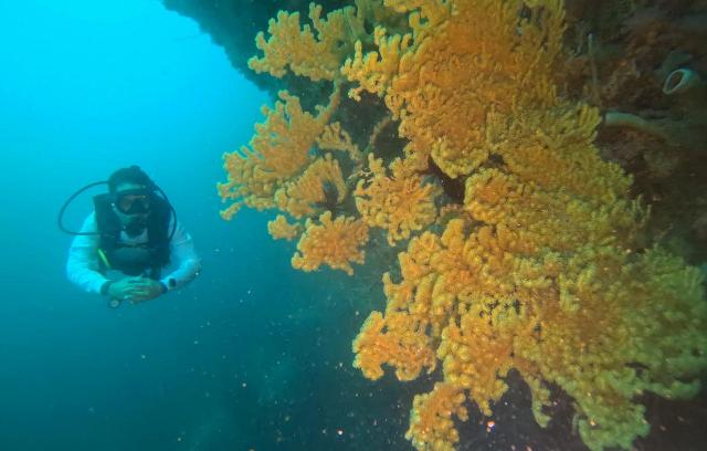 Perkuat Ekosistem Biru, Dorong Ekonomi Pesisir Maluku Tengah yang Berkelanjutan