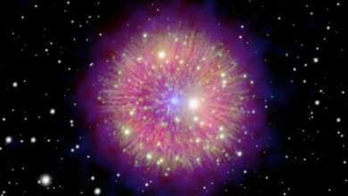 Puisi Tahun 1181 M di Mesir Terungkap, Mengungkap Kisah yang Mengejutkan