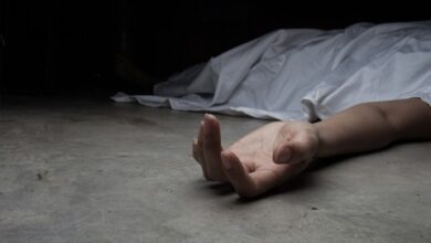 Satu Pengendara Tewas: Fakta-Fakta Pohon Tumbang di Jakarta Selatan