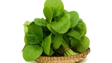 Sederet Makanan Bersumber Vitamin A Tinggi, Tak Hanya Wortel Saja!