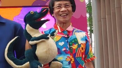 Sempat Alami Stroke Ringan, Ini Profil Lengkap Kak Seto yang Inspiratif