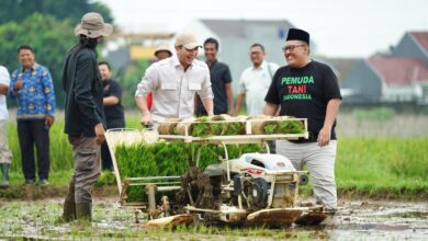 Setahun Pemerintahan Prabowo, Pemuda Tani Tanam 100 Ribu Bibit di 8 Provinsi