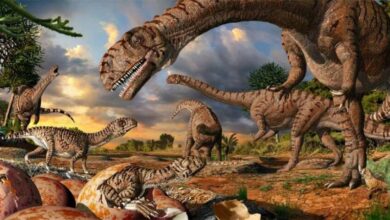 Temuan Baru Ungkap Dinosaurus Berkembang Pesat Sebelum Punah: Seluk Beluknya