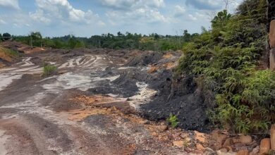 Terkuak! Tambang Ilegal di IKN Luasnya 4.000 Ha, Ancaman Lingkungan?