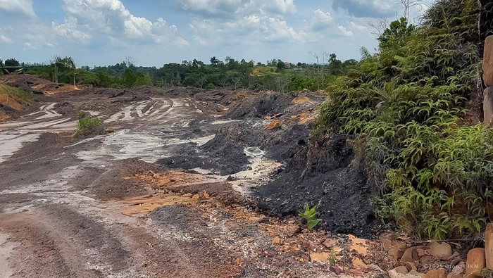 Terkuak! Tambang Ilegal di IKN Luasnya 4.000 Ha, Ancaman Lingkungan?