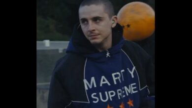 Timothée Chalamet Tampil Plontos, Kejutkan Penggemar di Instagram