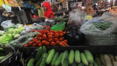 Update Harga Pangan Akhir Pekan: Beras, Cabai, dan Bawang Alami Penurunan