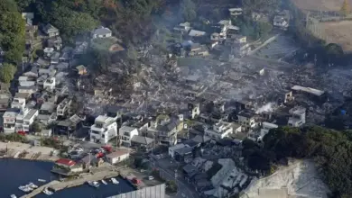 20 Jam Kebakaran Oita, Jepang: 1 Tewas dan Ratusan Warga Dievakuasi, Apa Penyebabnya?