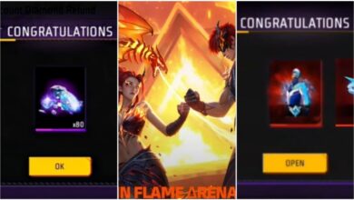 24 Kode Redeem FF 10 November 2025: Dapatkan Skin Hero Unik di Hari Pahlawan!