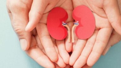 5 Obat Herbal Aman dan Ampuh untuk Atasi Batu Ginjal, Solusi Sehat untuk Kesehatan Anda!