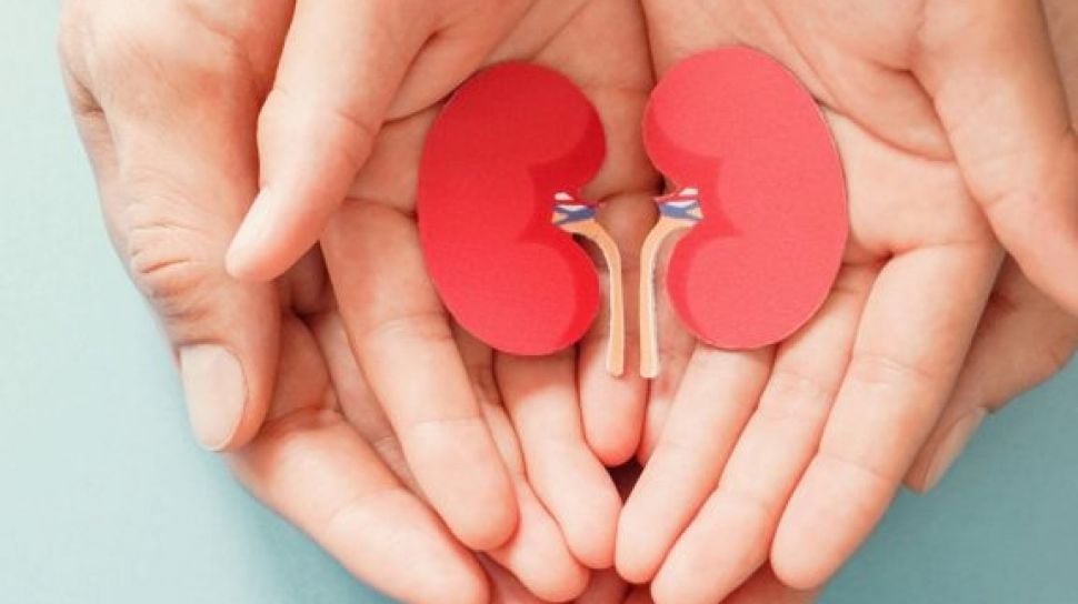 5 Obat Herbal Aman dan Ampuh untuk Atasi Batu Ginjal, Solusi Sehat untuk Kesehatan Anda!