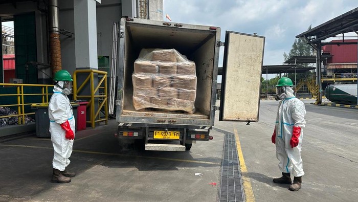 5,7 Ton Udang Terpapar Radioaktif Dimusnahkan: Apa Dampaknya bagi Kesehatan Publik?