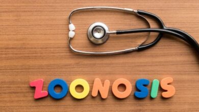 9 Penyakit Calon Pandemi yang Wajib Diwaspadai WHO: Kenali Ancaman yang Pernah Kita Hadapi!