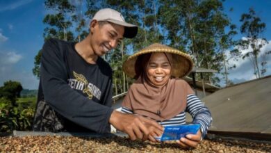 BRI Raih 3 Penghargaan di Asia Sustainability Reporting Awards 2025: Kinerja Berkelanjutan yang Menginspirasi