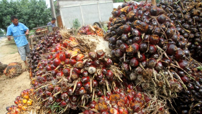 Begini Strategi Jaga Kepercayaan Konsumen di Era Digital Modern