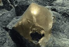 Bola Emas Misterius Ditemukan di Dasar Laut Alaska, Para Ilmuwan Terkejut dan Bingung!