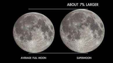 Cold Supermoon Terakhir 2025: Phenomena Langit Awal Desember yang Tak Boleh Dilewatkan!