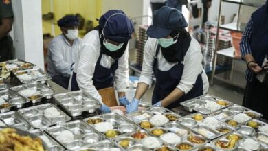 Danantara Siapkan Anggaran Rp20 T untuk Dukung Kemajuan Peternakan Ayam: Apa Dampaknya?