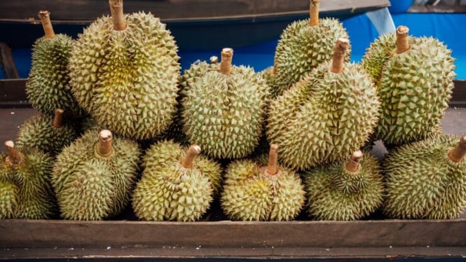 Durian Kembali Jadi Masalah: Keluarga Malaysia di Prancis Panggil Pemadam Kebakaran!