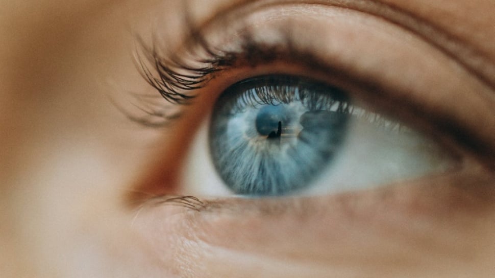 Evolusi Manusia: Peneliti Ungkap Proses yang Masih Berlangsung Hingga Kini!