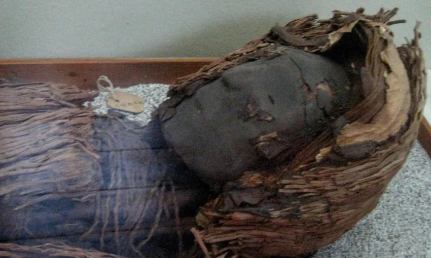 Fakta Mengejutkan: Mengapa Mumi Prasejarah dari Gurun Atacama Memiliki Otak Kecil?