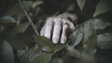 Firasat Ibu Alvaro: Mimpi Buruk Sebelum Penemuan Jasad Putranya yang Mengejutkan