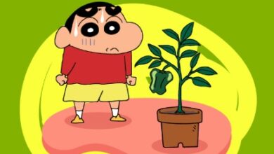 Hubungan Memanas: Tiongkok Tunda Penayangan Dua Film Jepang, Apa Alasannya?