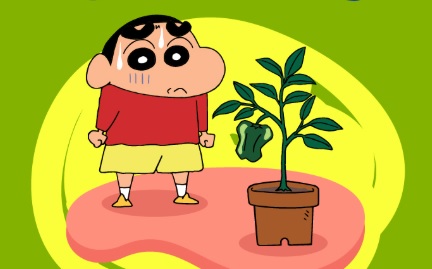 Hubungan Memanas: Tiongkok Tunda Penayangan Dua Film Jepang, Apa Alasannya?