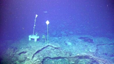 Ilmuwan Ramalkan Gunung Bawah Laut Teraktif di Pasifik Meletus pada 2026: Apa yang Perlu Diketahui?