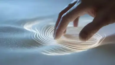 Ilmuwan Temukan Indra Ketujuh: Manusia Bisa Rasakan Tanpa Sentuhan, Apa Artinya?