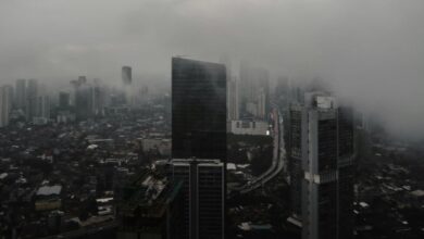 Indonesia Kolaborasi dengan The Royal Foundation: Strategi Atasi Krisis Iklim di Rio 2025