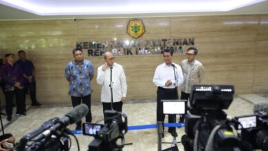 Investasi Hilirisasi Pertanian: Upaya Mencapai Target Rp371 Triliun di Sektor Pangan