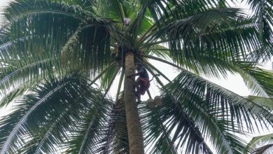 Langkah Strategis Mencegah Kecelakaan Kerja: Menjaga Masa Depan Anak Anda