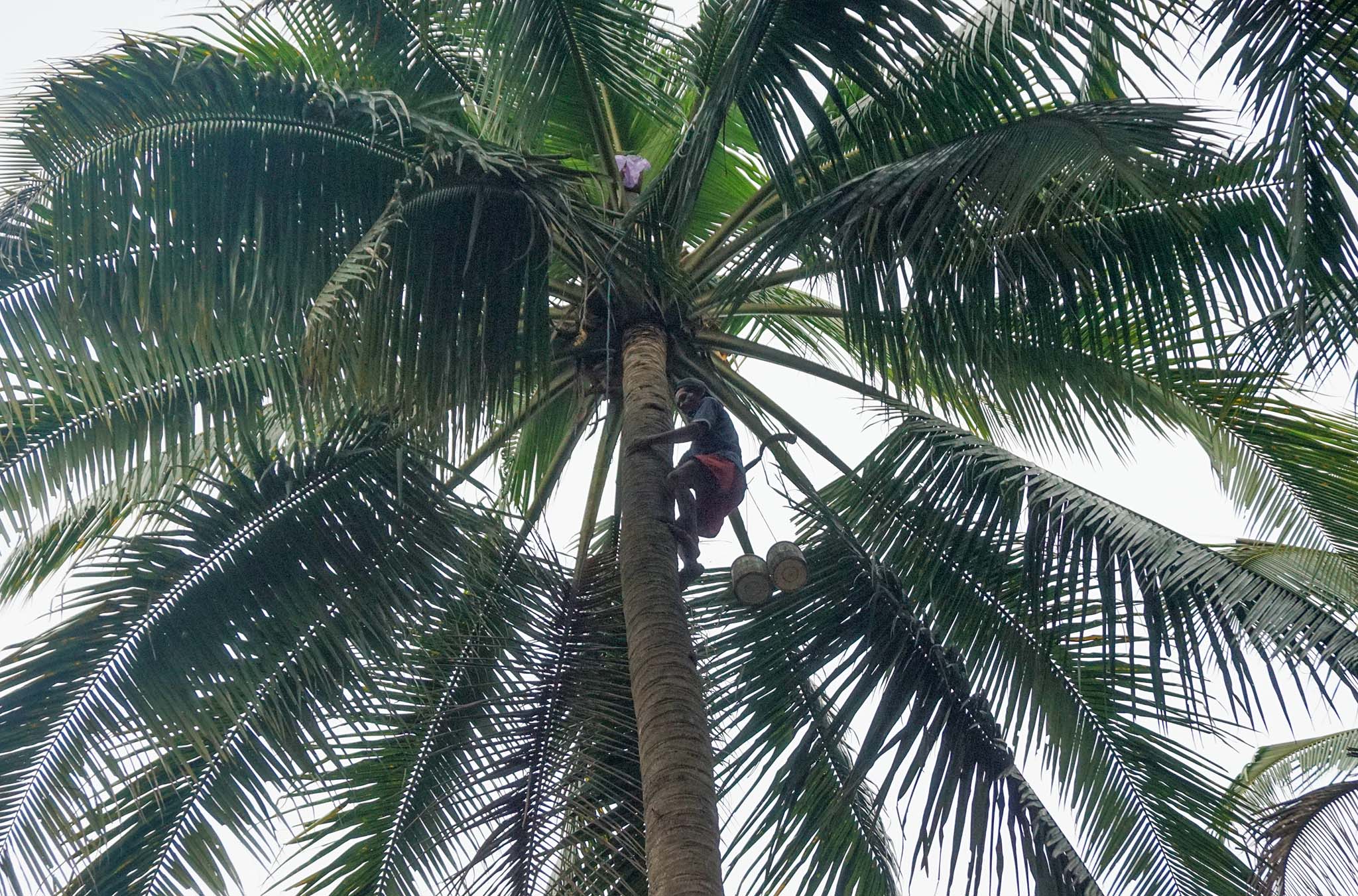 Langkah Strategis Mencegah Kecelakaan Kerja: Menjaga Masa Depan Anak Anda