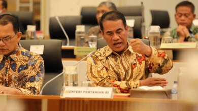 Mentan Amran Ungkap Produksi Beras Nasional Capai 34,77 Juta Ton di Depan DPR: Apa Artinya?