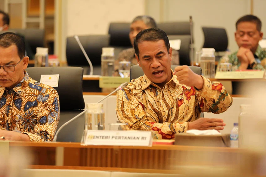 Mentan Amran Ungkap Produksi Beras Nasional Capai 34,77 Juta Ton di Depan DPR: Apa Artinya?